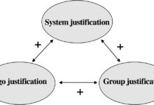 system justification