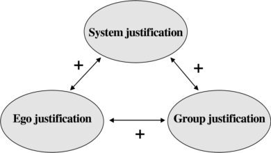 system justification